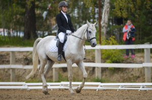 Верховая езда Верховая езда