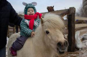 Адаптация Адаптация