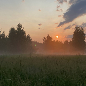 Невероятной красы прогулки на лошади Невероятной красы прогулки на лошади