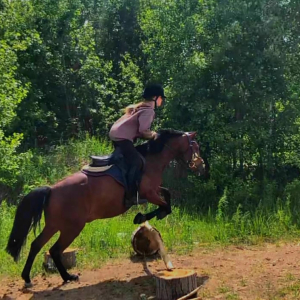 Иповерция с лошадьми Иповерция с лошадьми