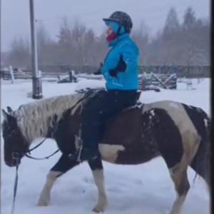 Тренировка на лошади в почтенном возрасте! Тренировка на лошади в почтенном возрасте!