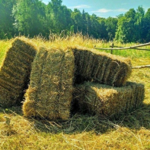 Сено Сено