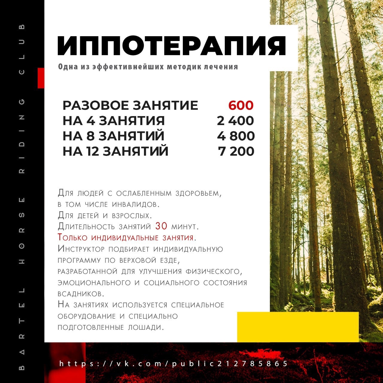 Иппотерапия в Новосибирске Бартель Иппотерапия в Новосибирске